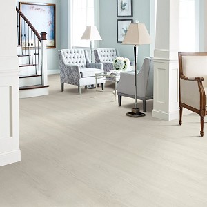 Willow Oak 12